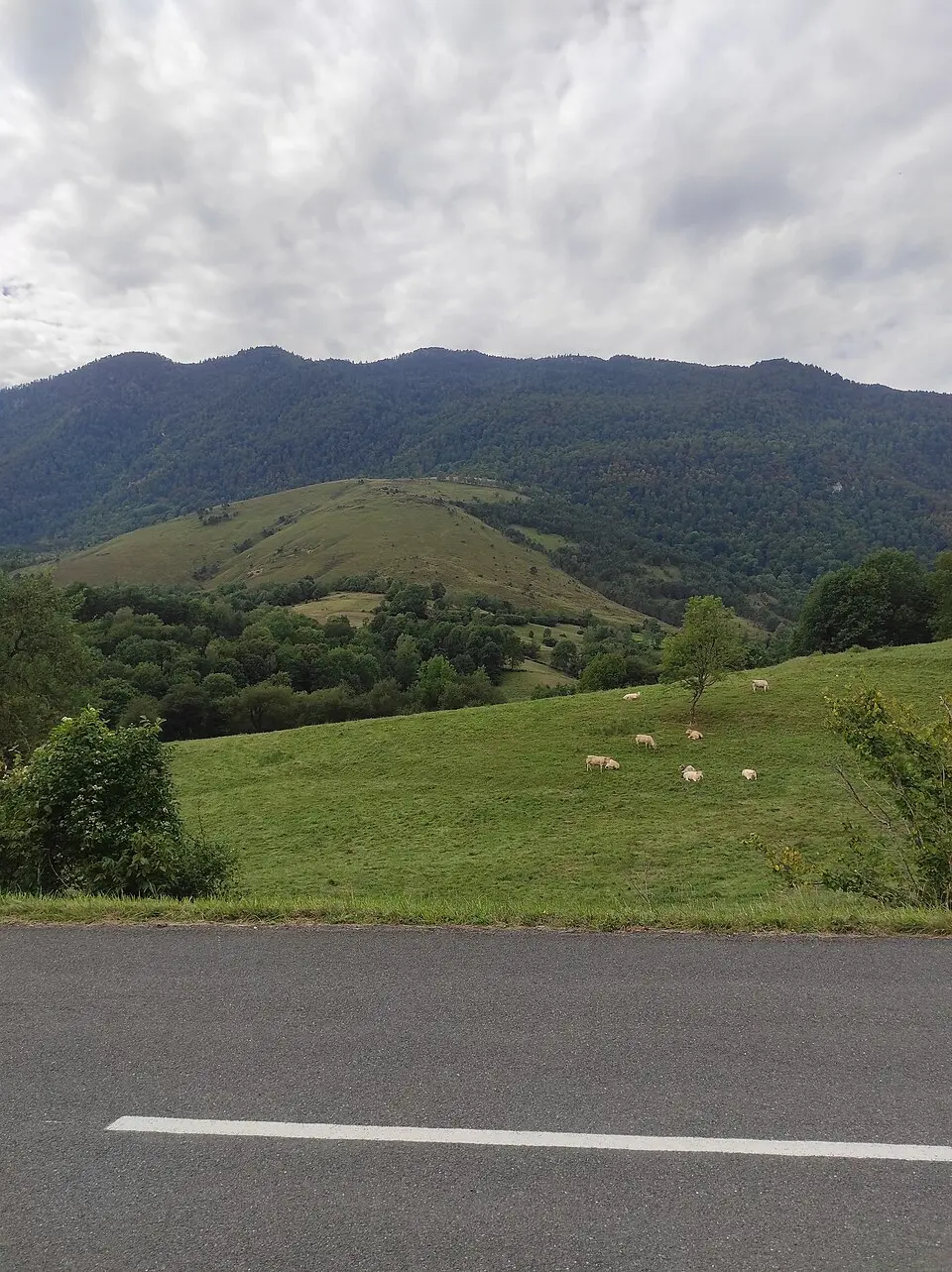 Moncaup