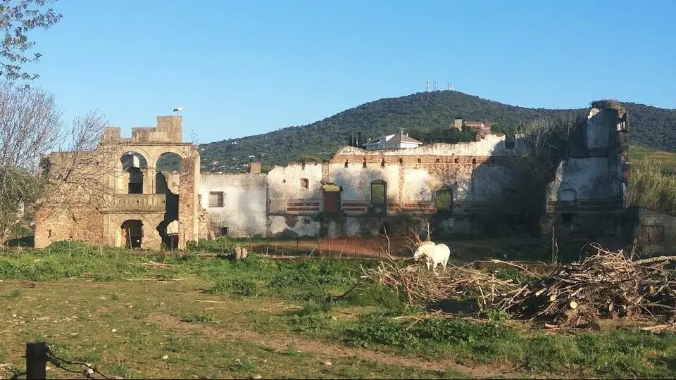 Colegio del Río