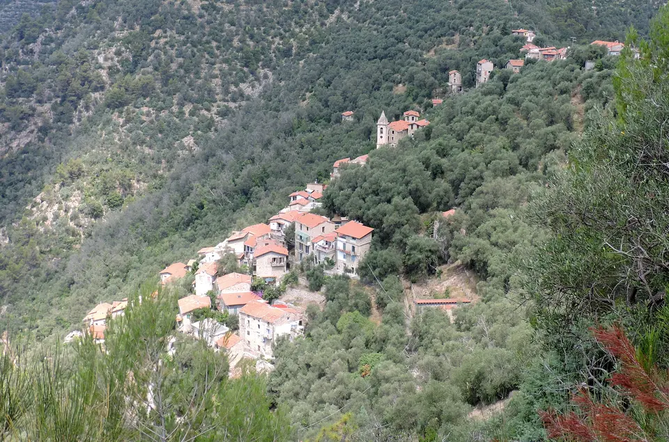 Collabassa
