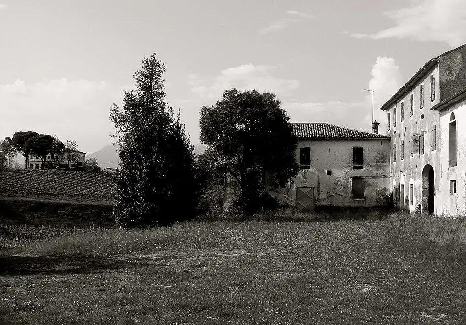 Collalbrigo