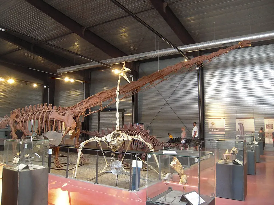 Dinosauria
