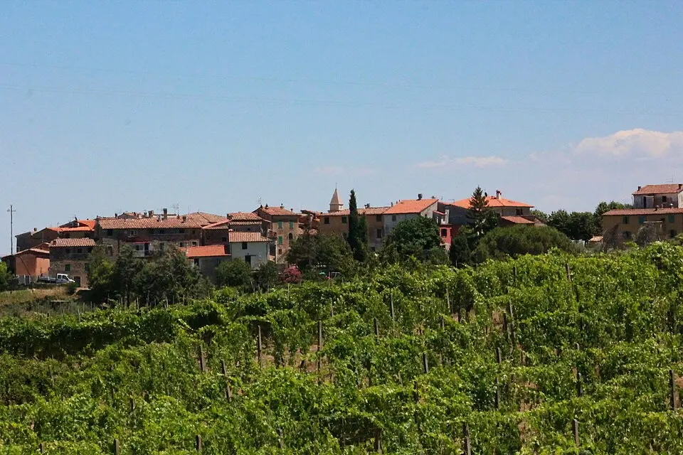 Collemontanino