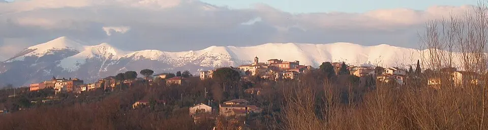 Colli