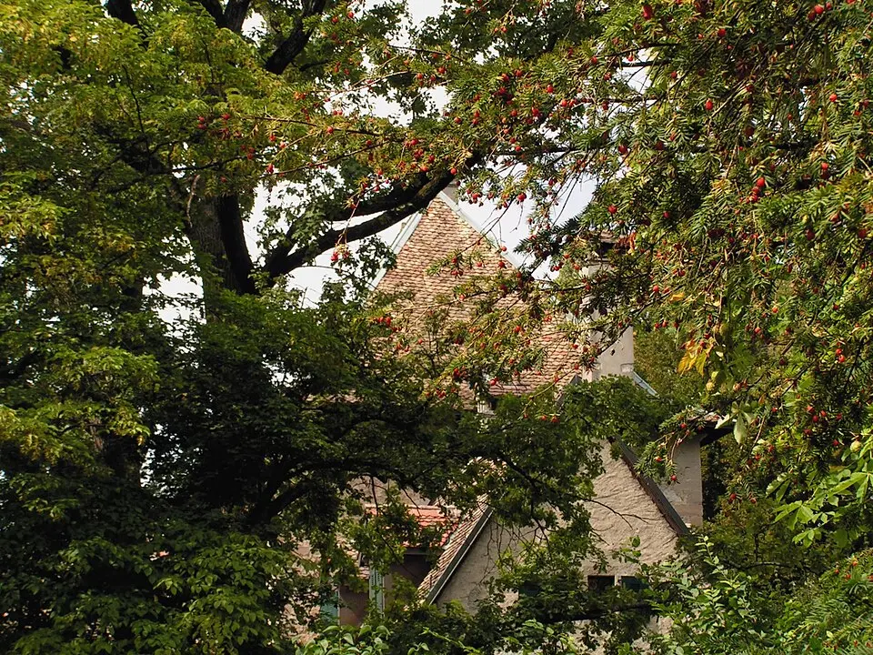 Schloss Bellerive