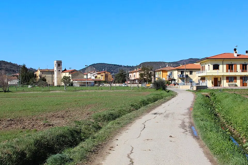 Colognole