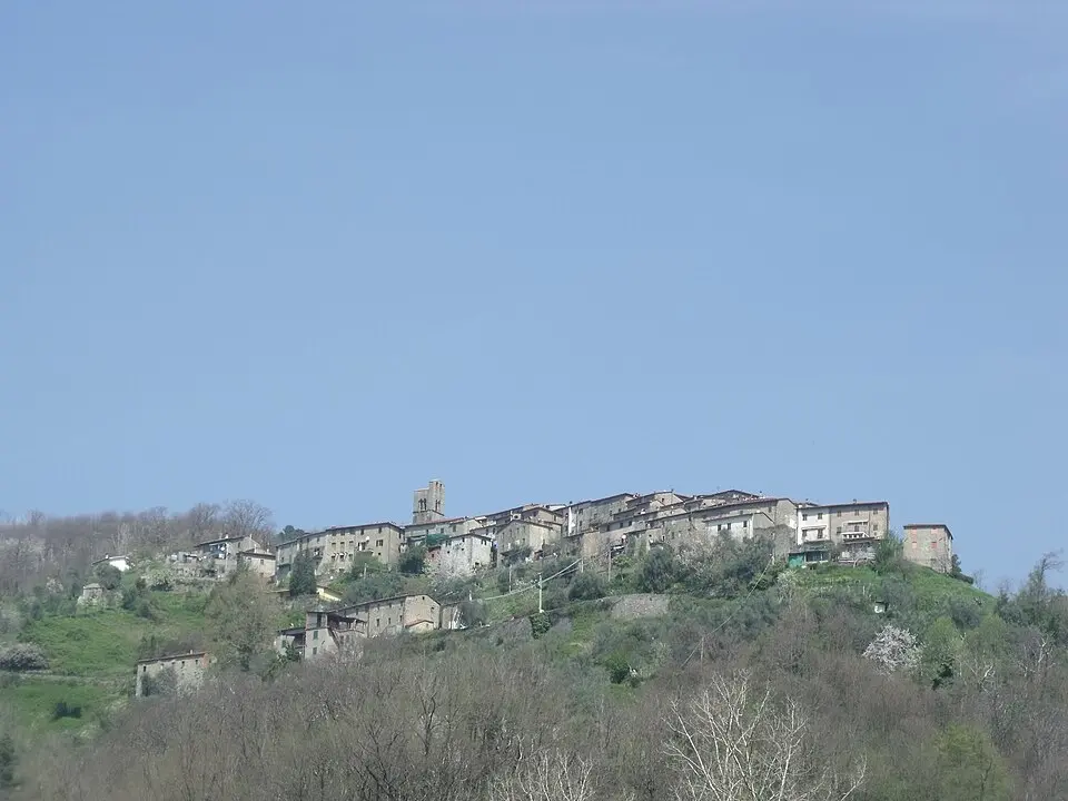 Colognora