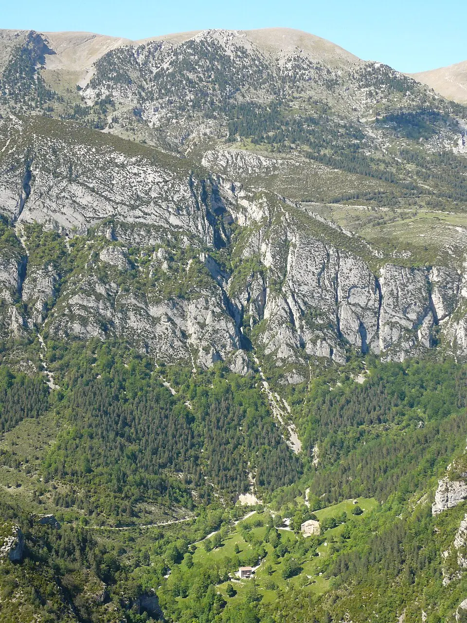 Comabona
