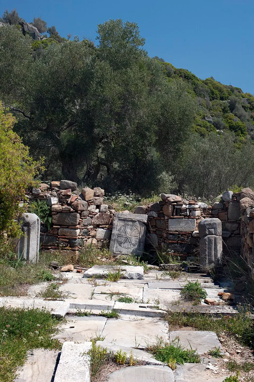 Σύναξη