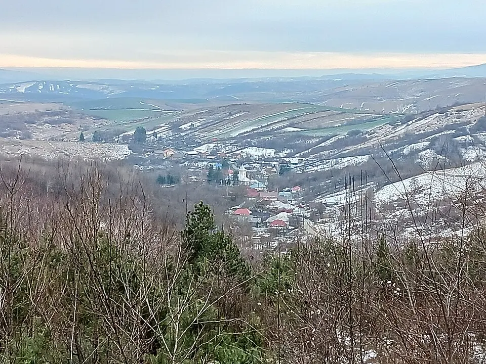 Solonț