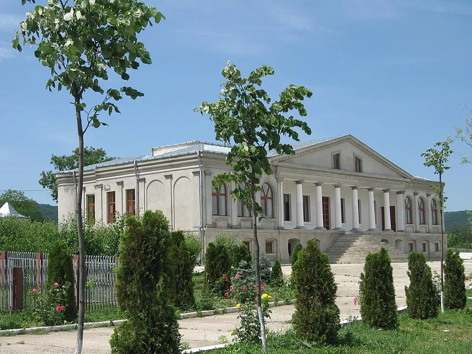 Voinești