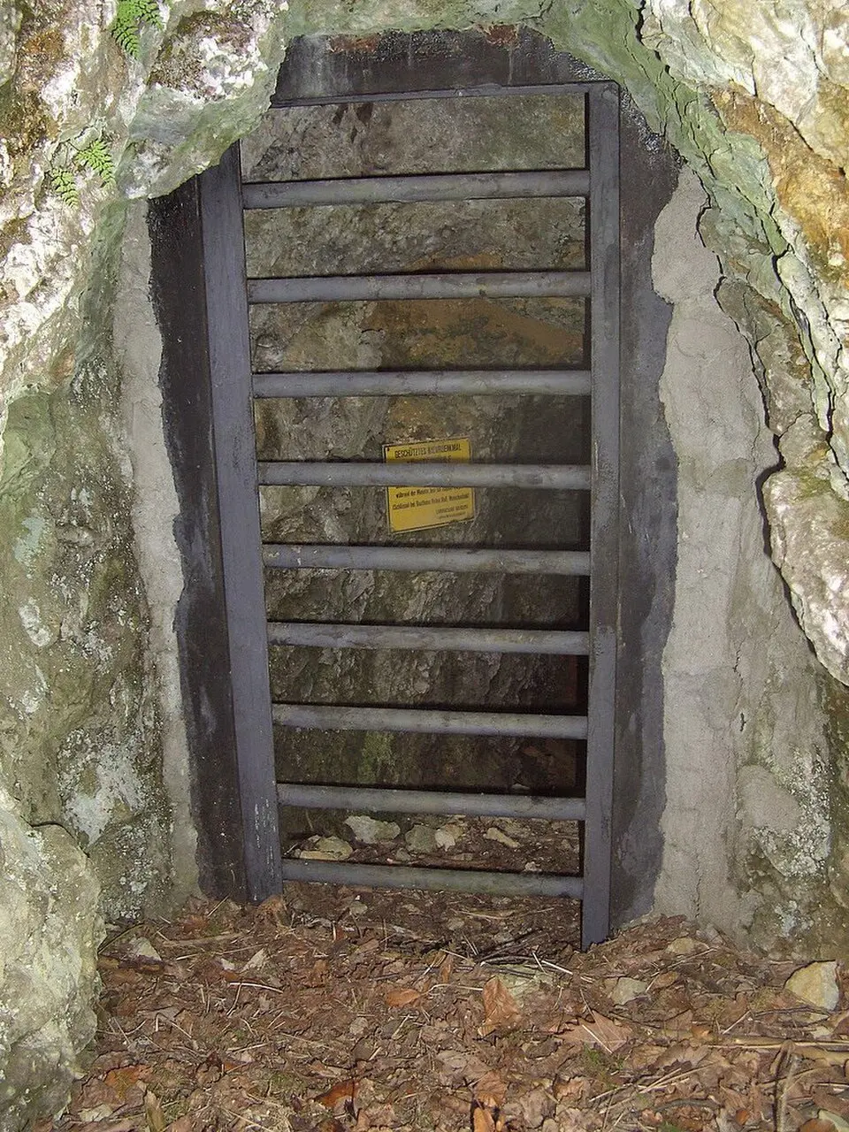 Image: Derzno · CC0 Försterhöhle