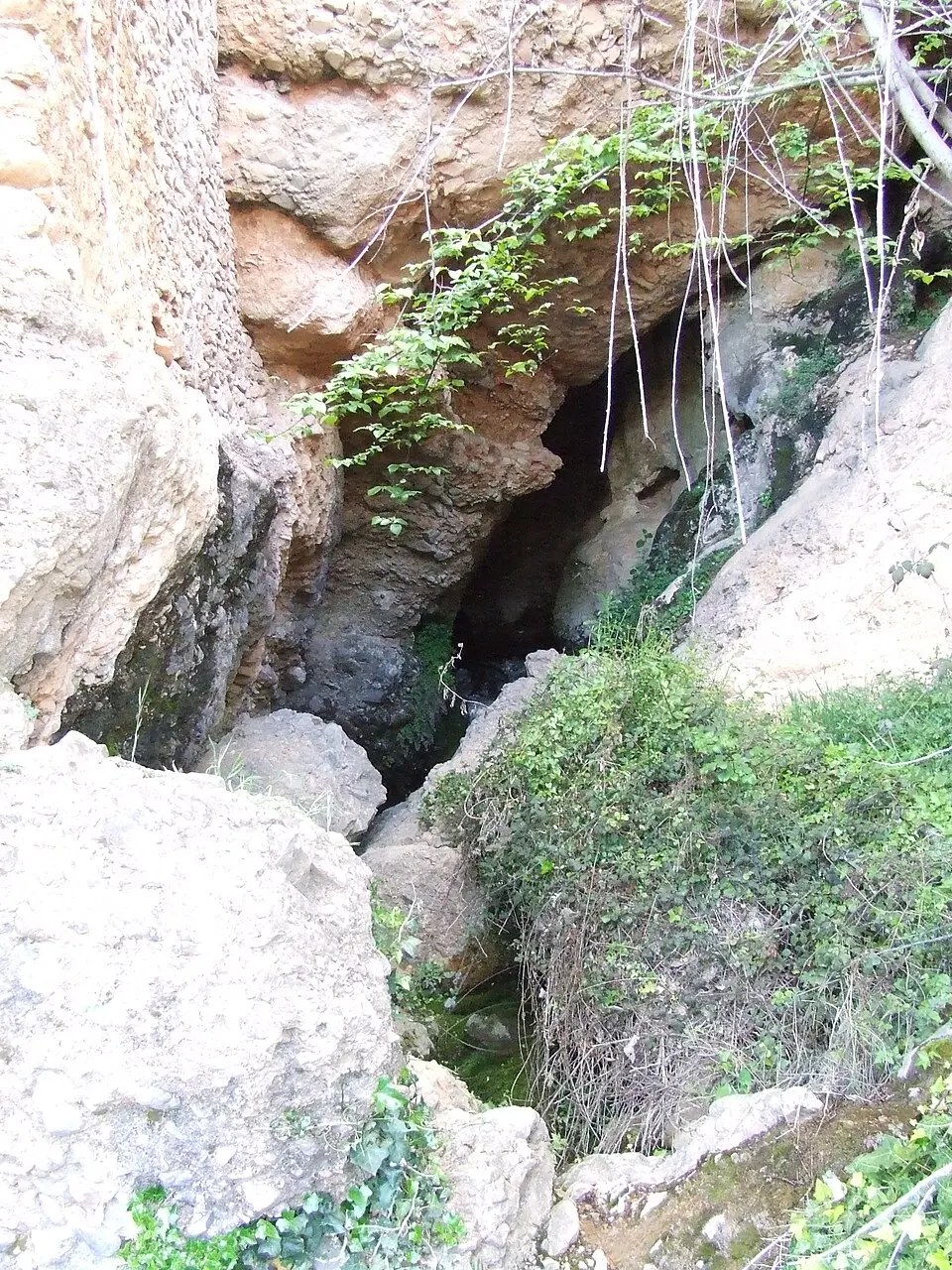 Cova de la Font
