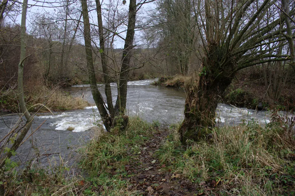 Altefeld