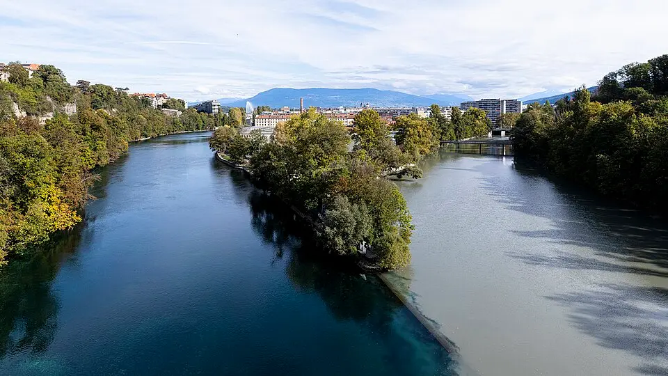 Arve