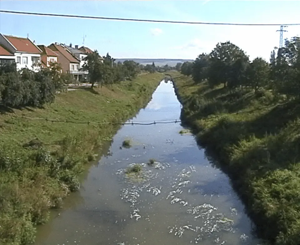 Olšava