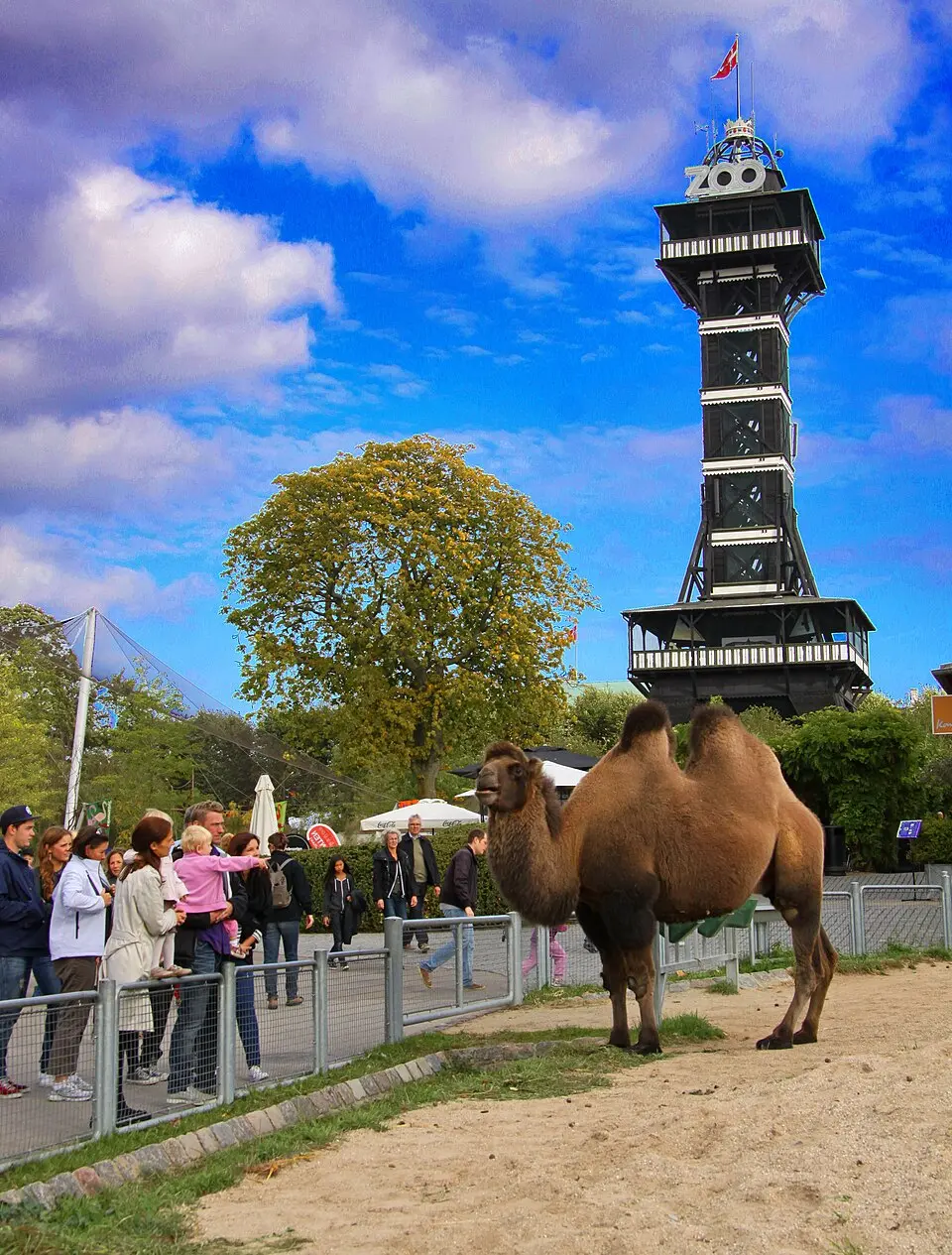 Zoologická záhrada Kodaň