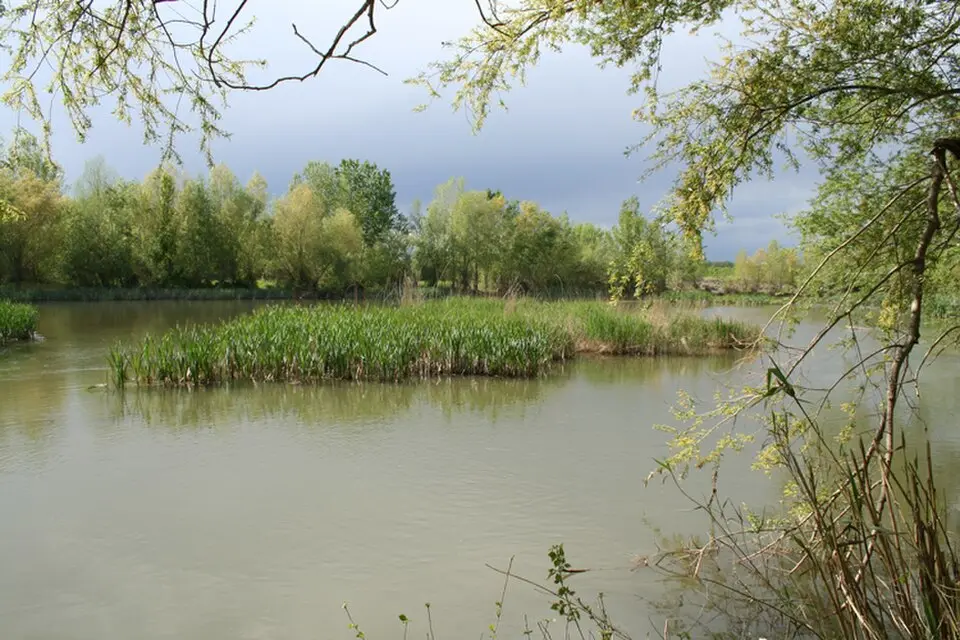Vilanova de la Barca