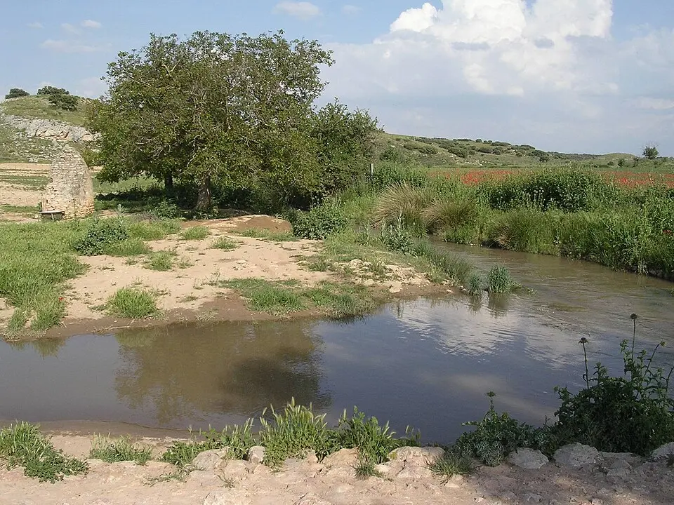 río Córcoles