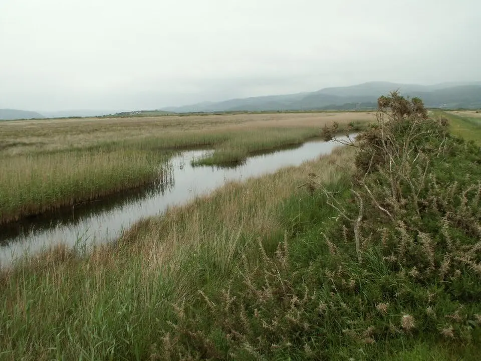 Afon Leri