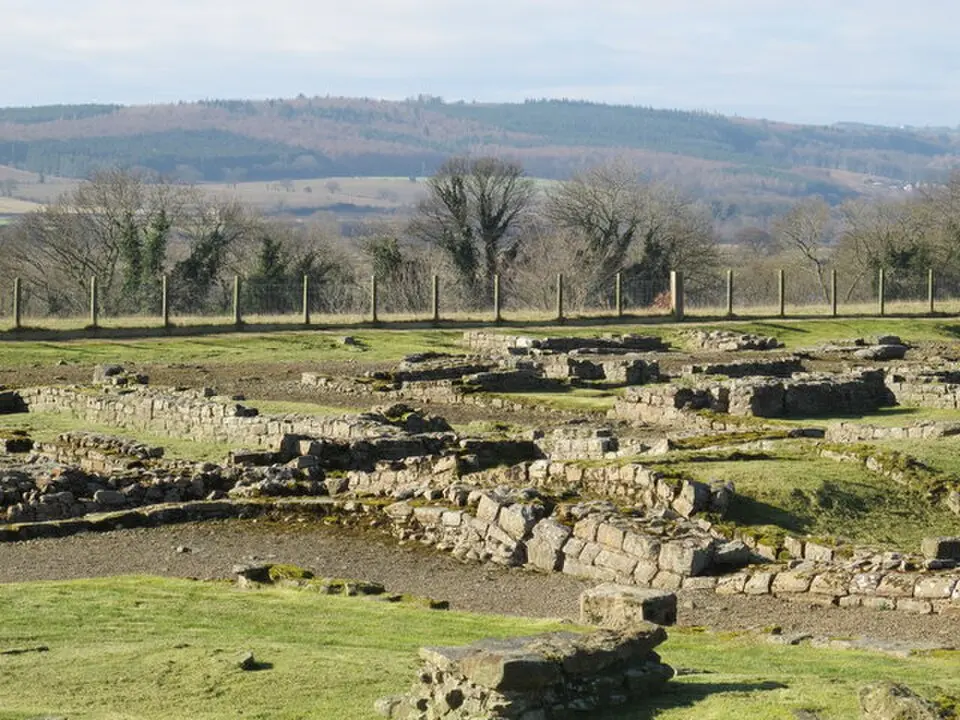 Coriosopitum