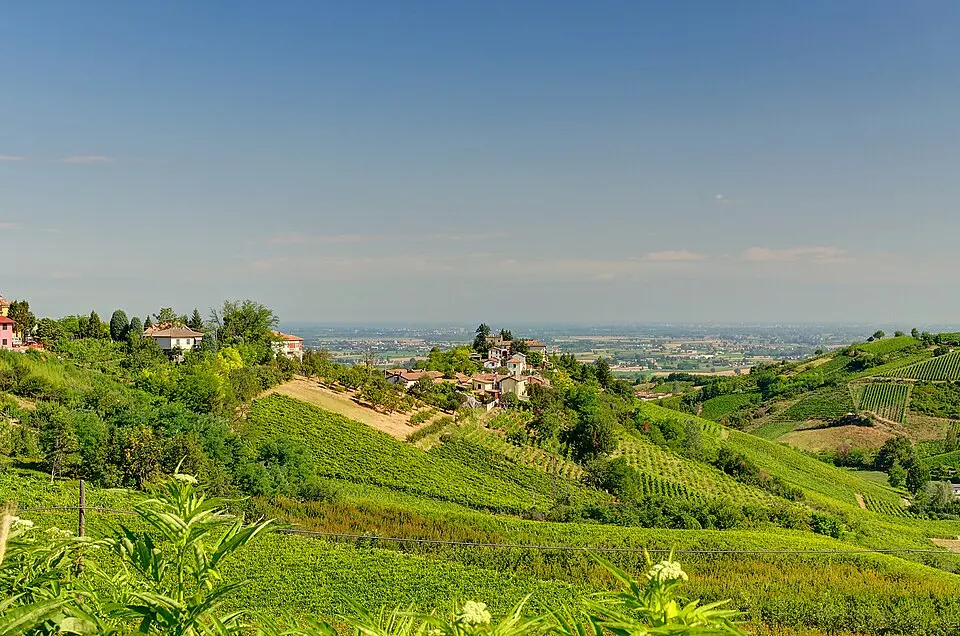 Corvino San Quirico