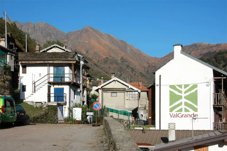 Cicogna
