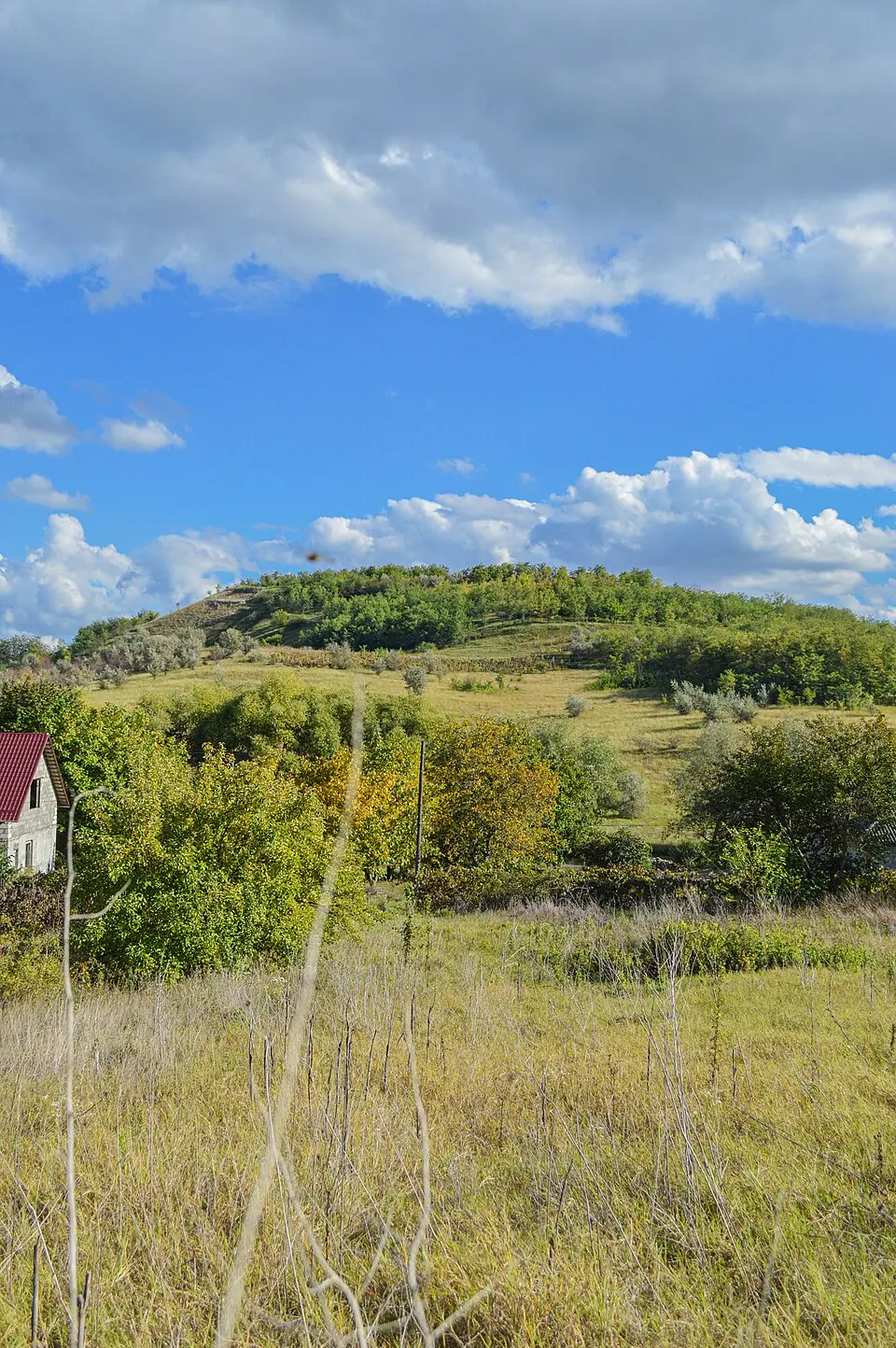 Așezare - Costești - V