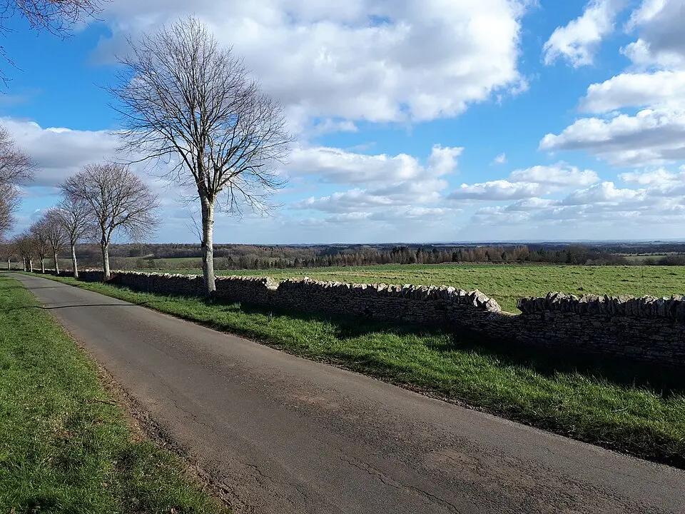 Wood Barrow long barrow 280yds (260m) N of Listercombe Bottom