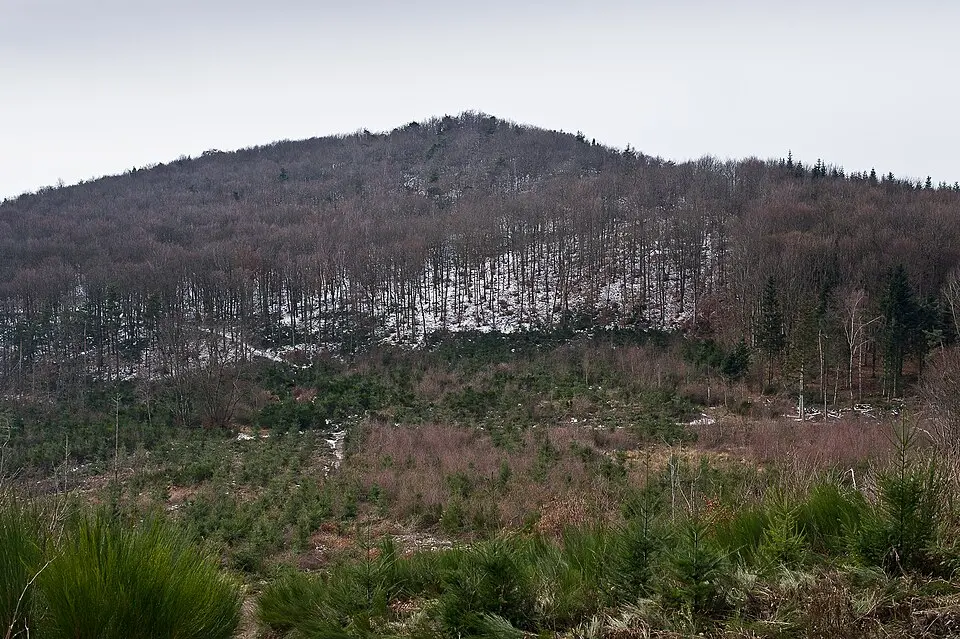 oppidum du Châtelard