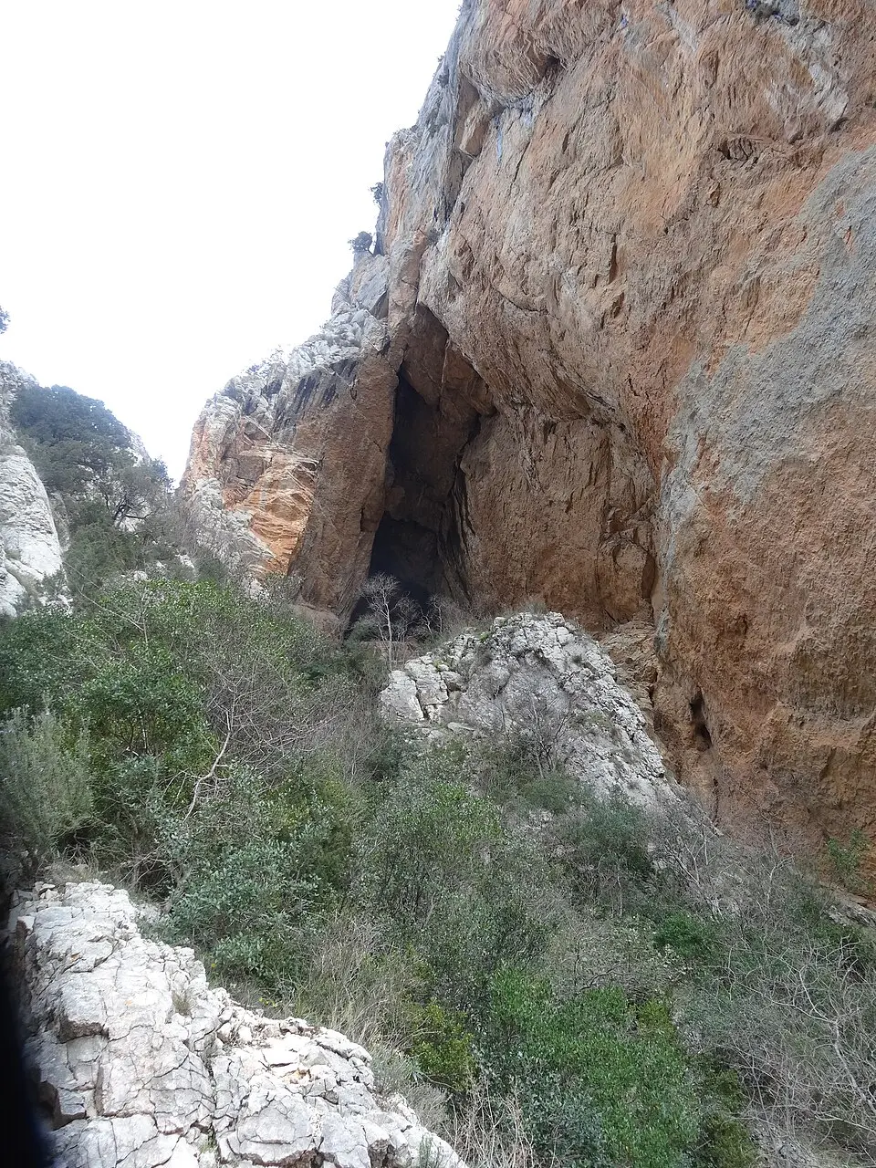 Cova de la Colomera