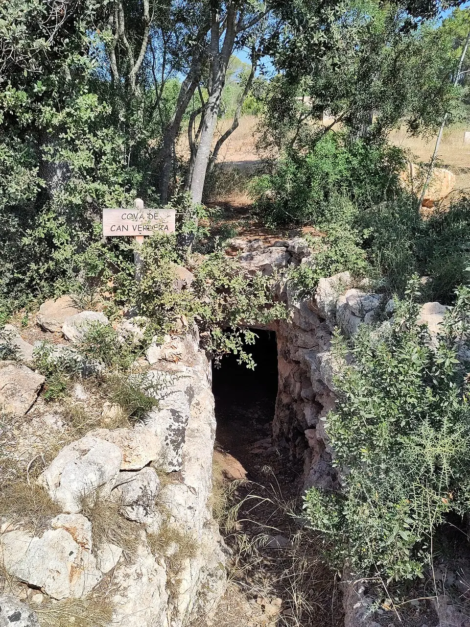 Cova de Can Verdera