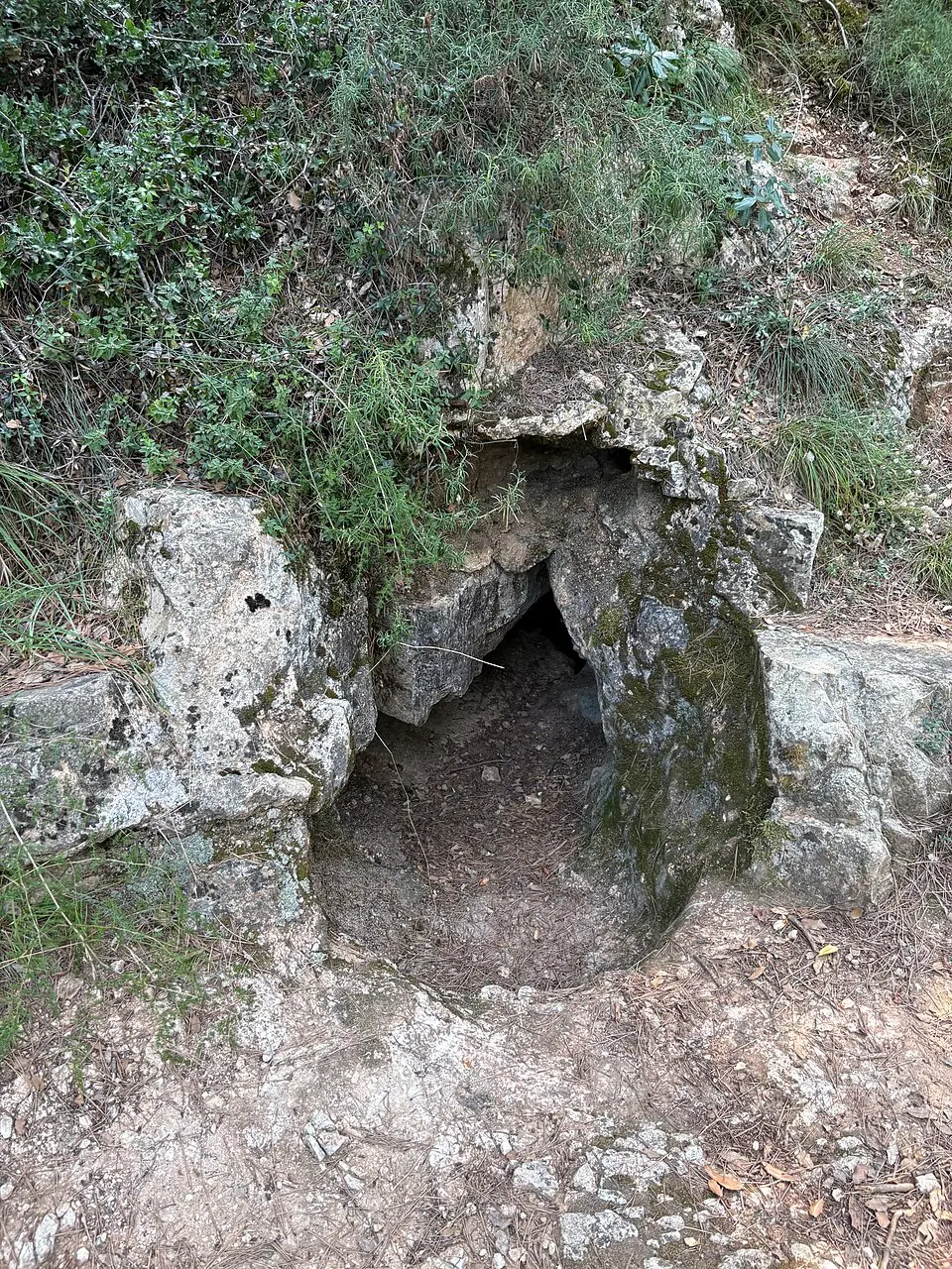 Obrázok: Wikiwiki · CC BY-SA 3.0 Cova de l'Infern