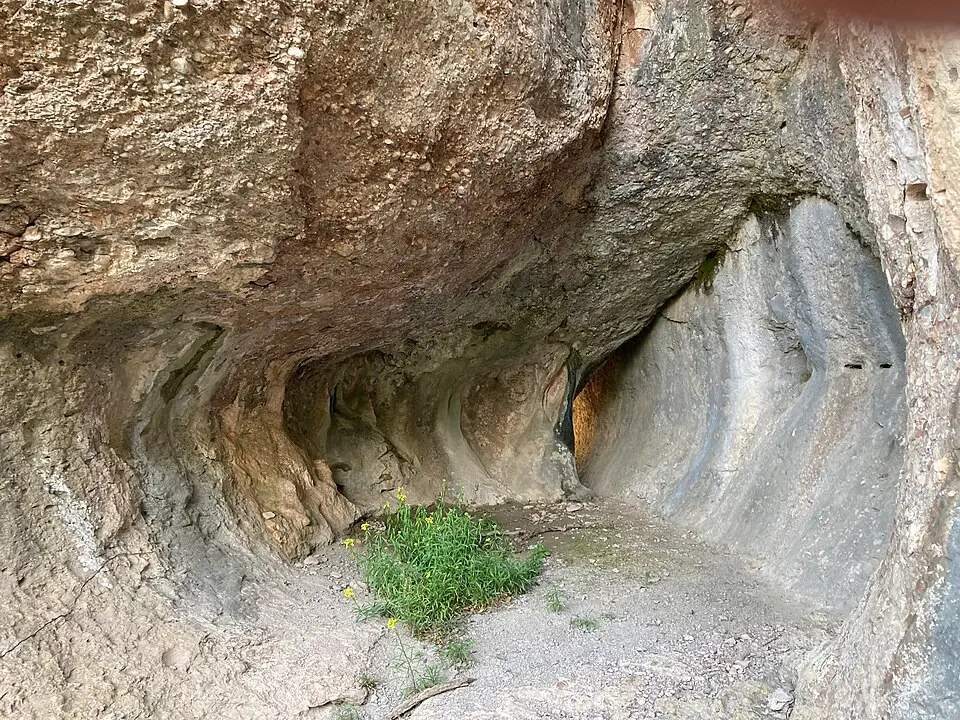 cova de l'Om