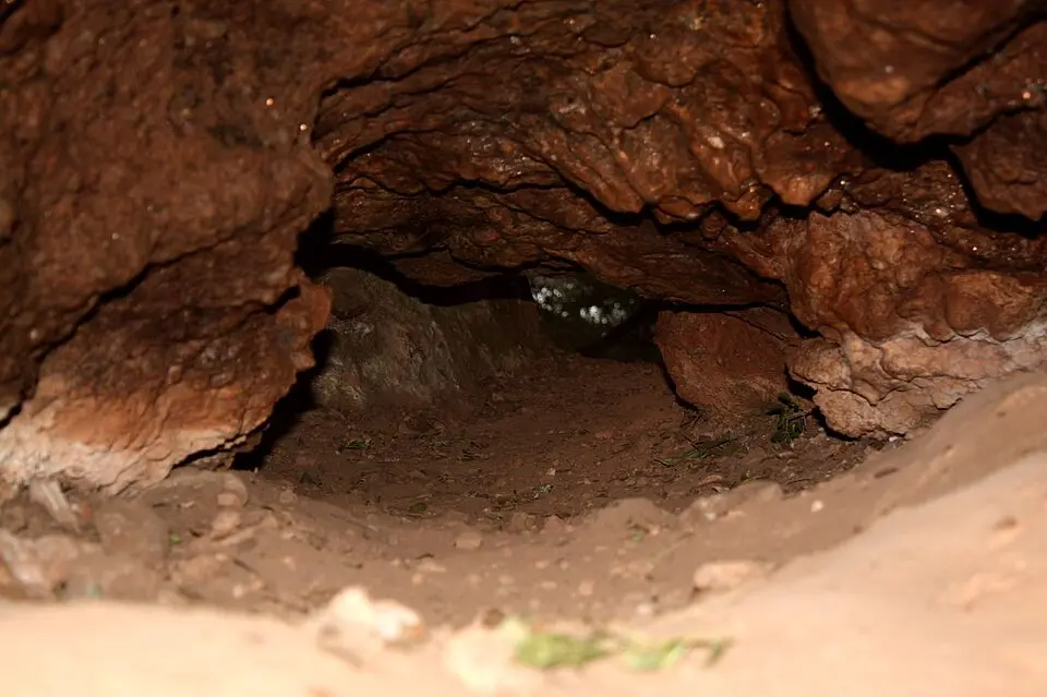 Cova dels Toixons