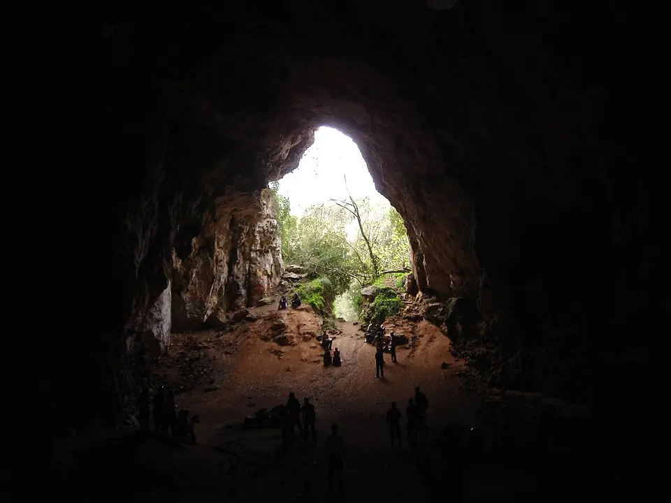 Cueva des Coloms