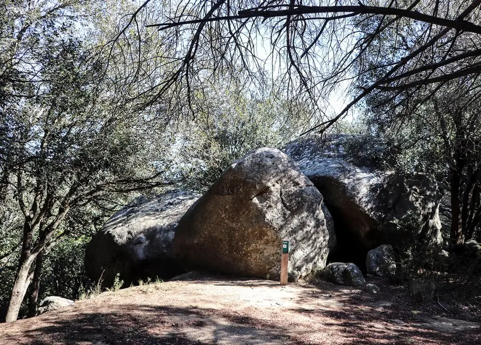 Cova d'en Pau