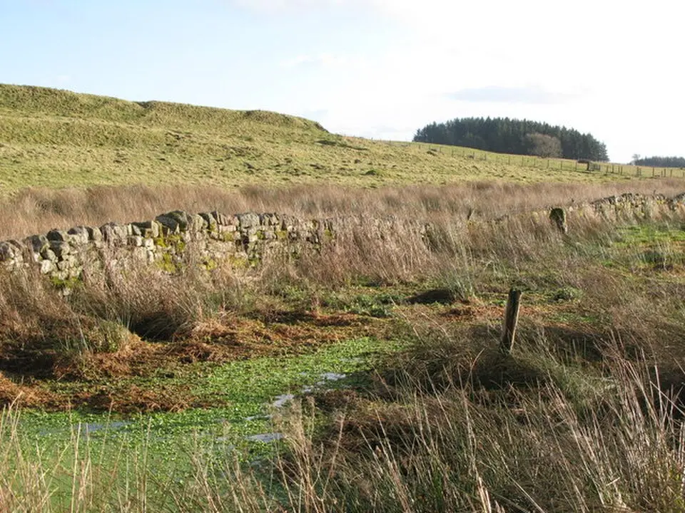 Coventina’s Well