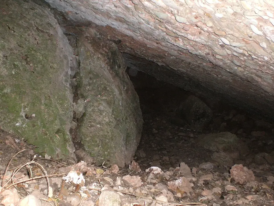 Coves de Santa Cecília