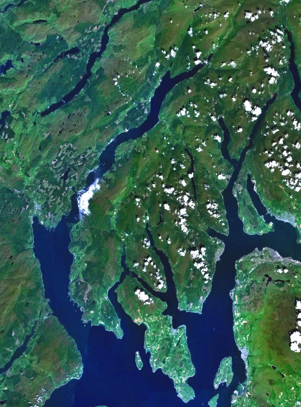 Cowal