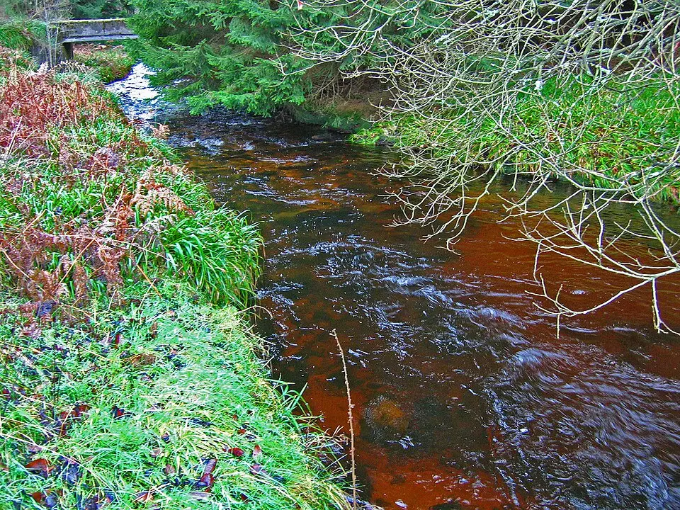 Cowie Water