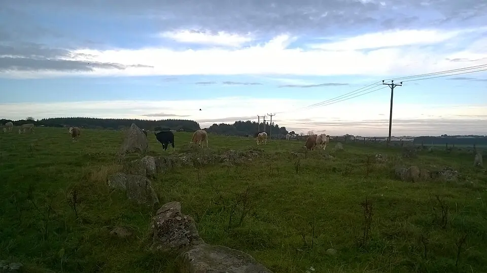Auchquorthies