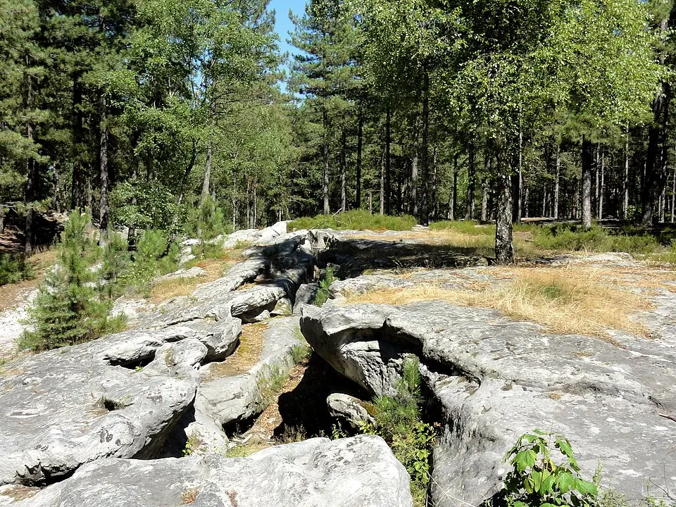 forêt de Retz