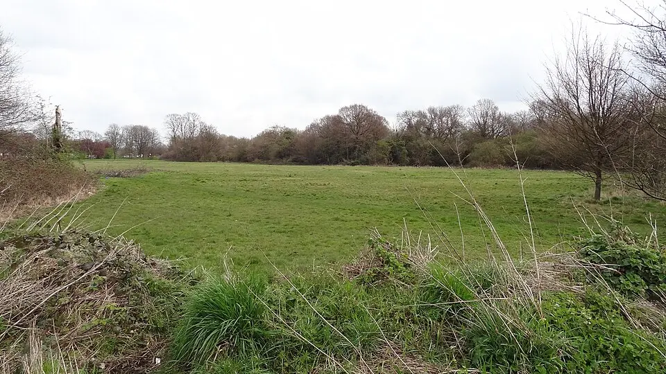 Cranmer Green
