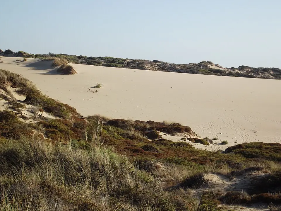 Duna da Cresmina