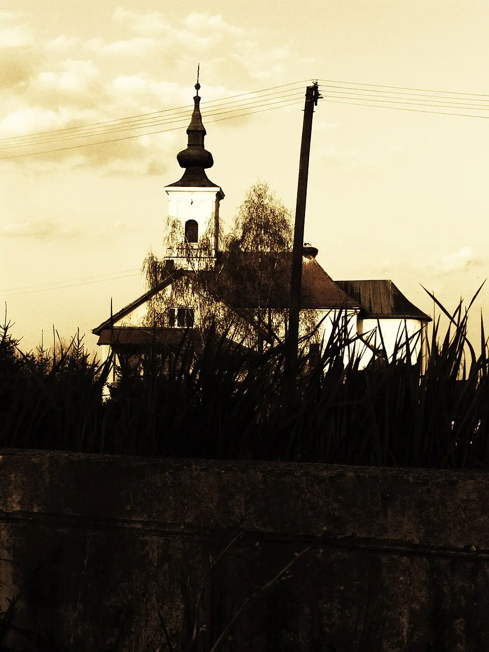 Orubica, Davor