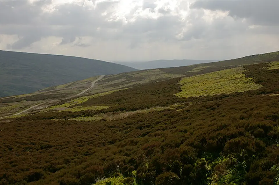 Bowland Forest High