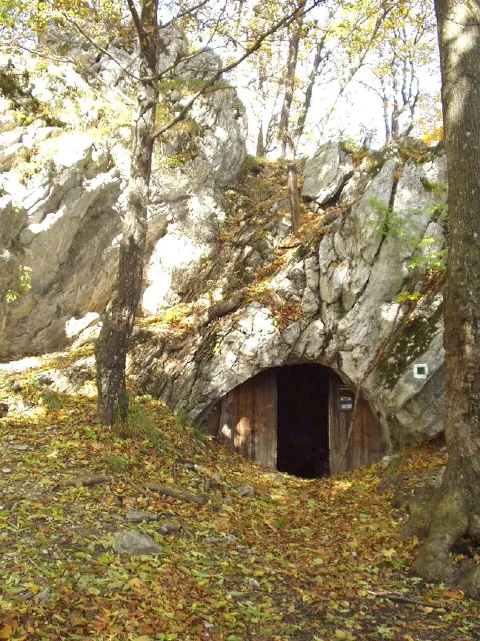 Cserpes-kő Rock Shelter