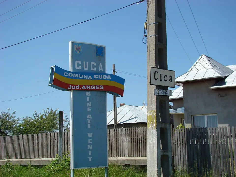 Cuca