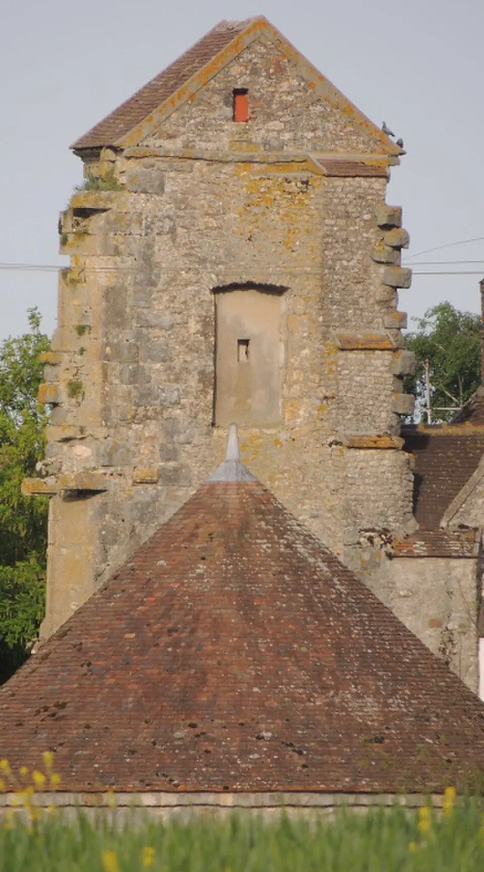 Slika: Grefeuille · CC BY-SA 4.0 château de Châtenoy