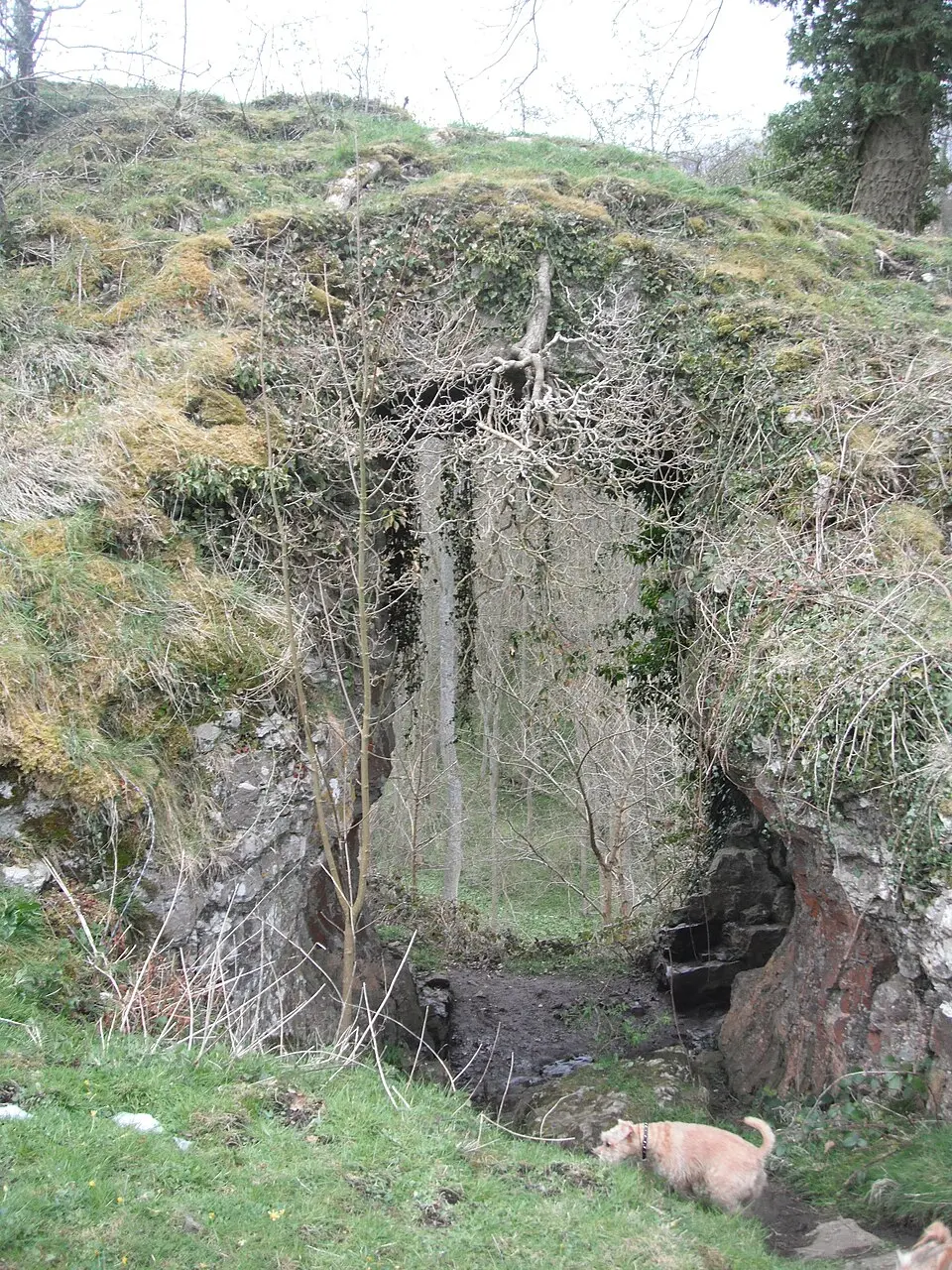 Cucklet Church